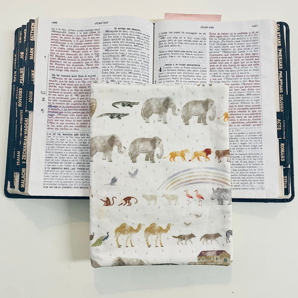 Noah’s Ark Bible Cover